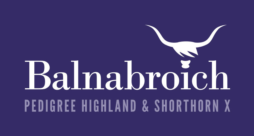 Balnabroich - Pedigree Highland & Shorthorn X | Highland Cattle Perthshire | Highland Beef Perthshire | Beef Shorthorn Perthshire | Shorthorn Cross Perthshire | Shorthorn X Perthshire | Highland Cattle Scotland | Highland Beef Scotland | Beef Shorthorn Scotland | Shorthorn X Scotland | Shorthorn Cross Scotland | Scottish Highland Cattle | Scottish Highland Beef | Scottish Beef Shorthorn | Scottish Shorthorn X | Scottish Shorthorn Cross